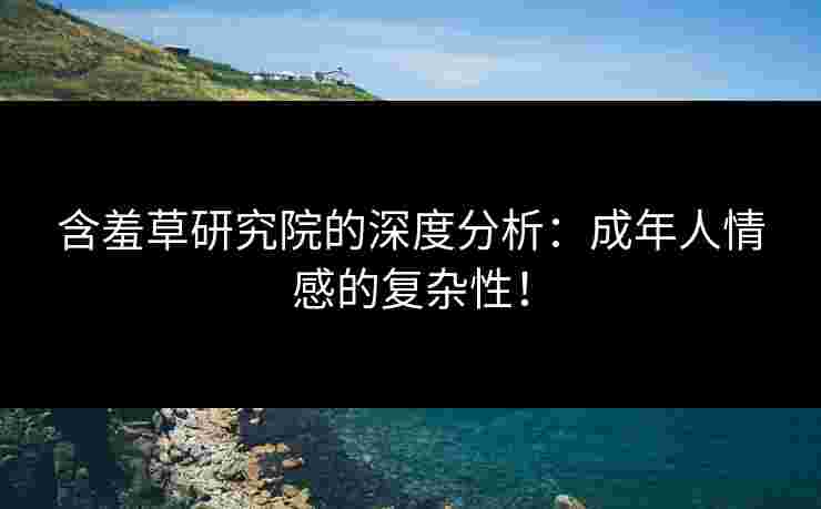 含羞草研究院的深度分析：成年人情感的复杂性！